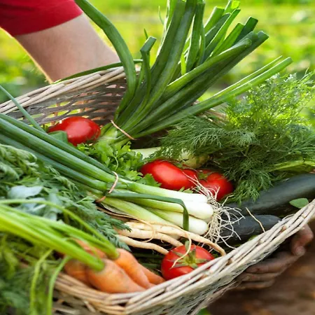 Franzenhof Markhart Apartamento *