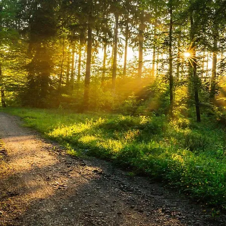 Franzenhof Markhart Apartamento *