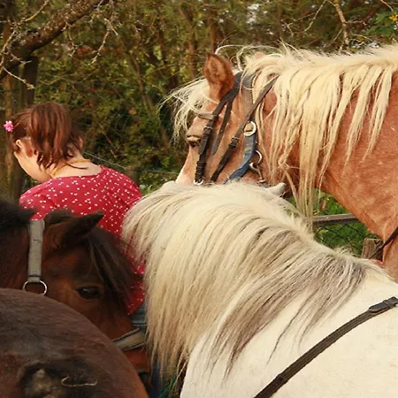 Franzenhof Markhart Apartamento *